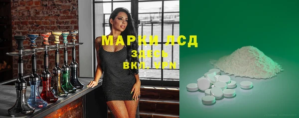 spice Елизово