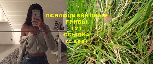spice Елизово