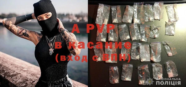 spice Елизово