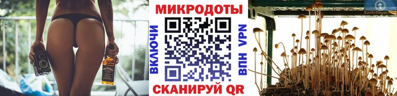 Галлюциногенные грибы Psilocybe  Купить где  Кушва 